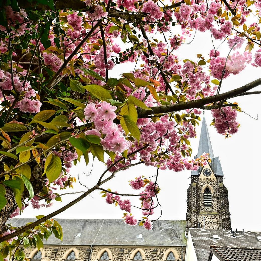Kirche Plaidt Frühling